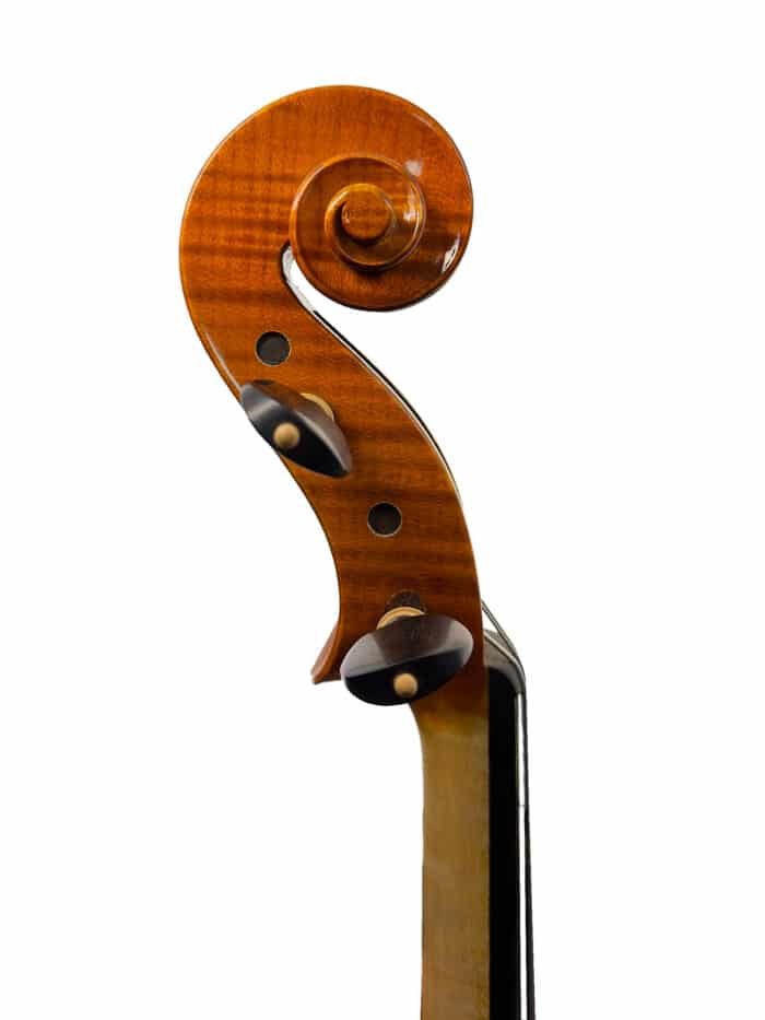 1-3 viola 1-3 viola